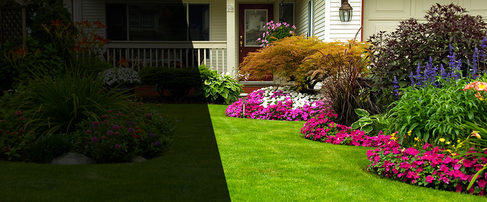 Nebo Landscapers