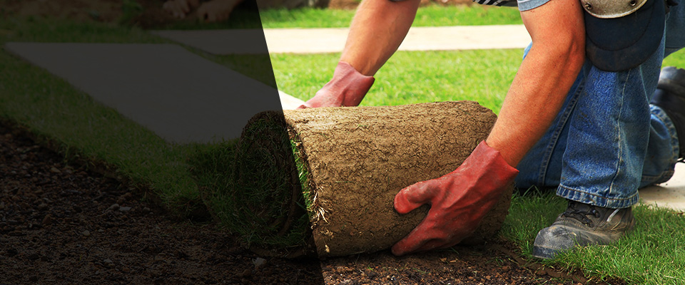 Nebo Landscapers